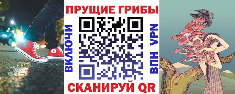 Галлюциногенные грибы прущие грибы  Сосновоборск 