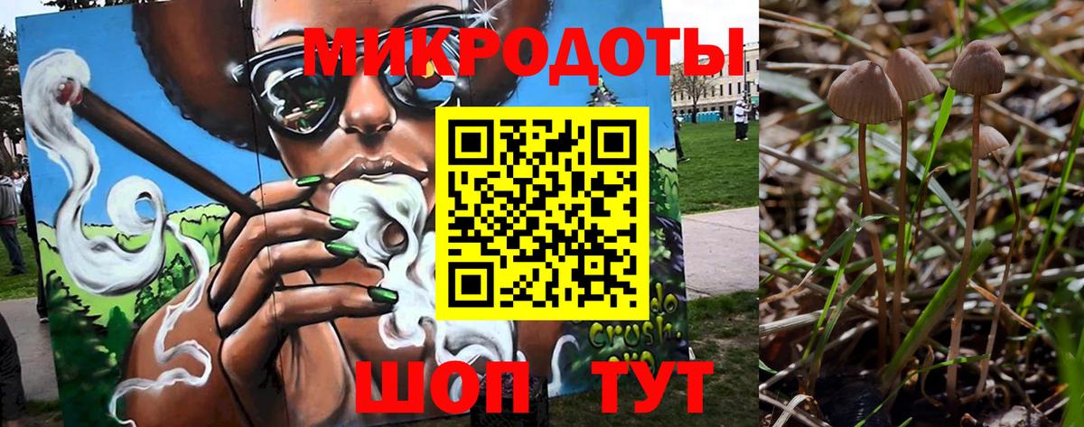 Псилоцибиновые грибы Psilocybe  Вход с VPN  Сосновоборск 